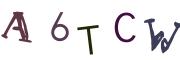 画像CAPTCHA