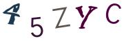画像CAPTCHA
