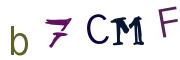 画像CAPTCHA