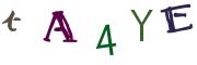 画像CAPTCHA