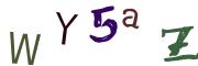 画像CAPTCHA
