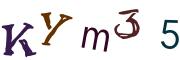 画像CAPTCHA