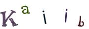 画像CAPTCHA