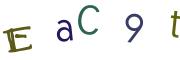 画像CAPTCHA