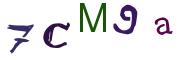 画像CAPTCHA