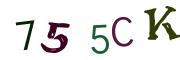 画像CAPTCHA