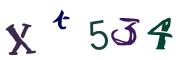 画像CAPTCHA