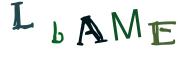 画像CAPTCHA