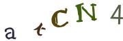 画像CAPTCHA
