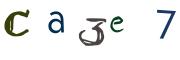 画像CAPTCHA