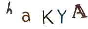 画像CAPTCHA