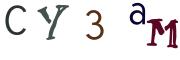 画像CAPTCHA