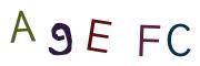 画像CAPTCHA
